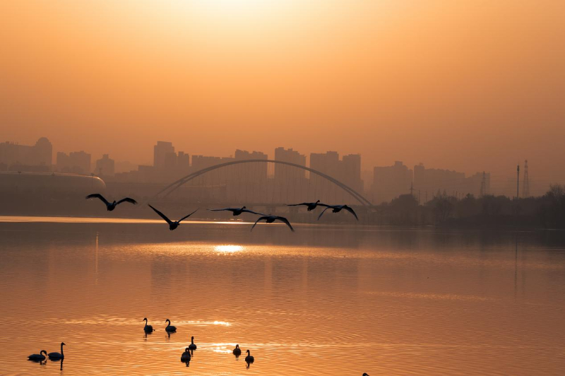 Henan Sanmenxia from China Science Communication.jpg