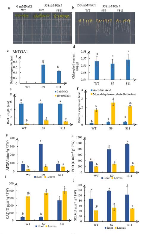 e5177e90756149d2b0c93f2f56176d27 (1).jpg