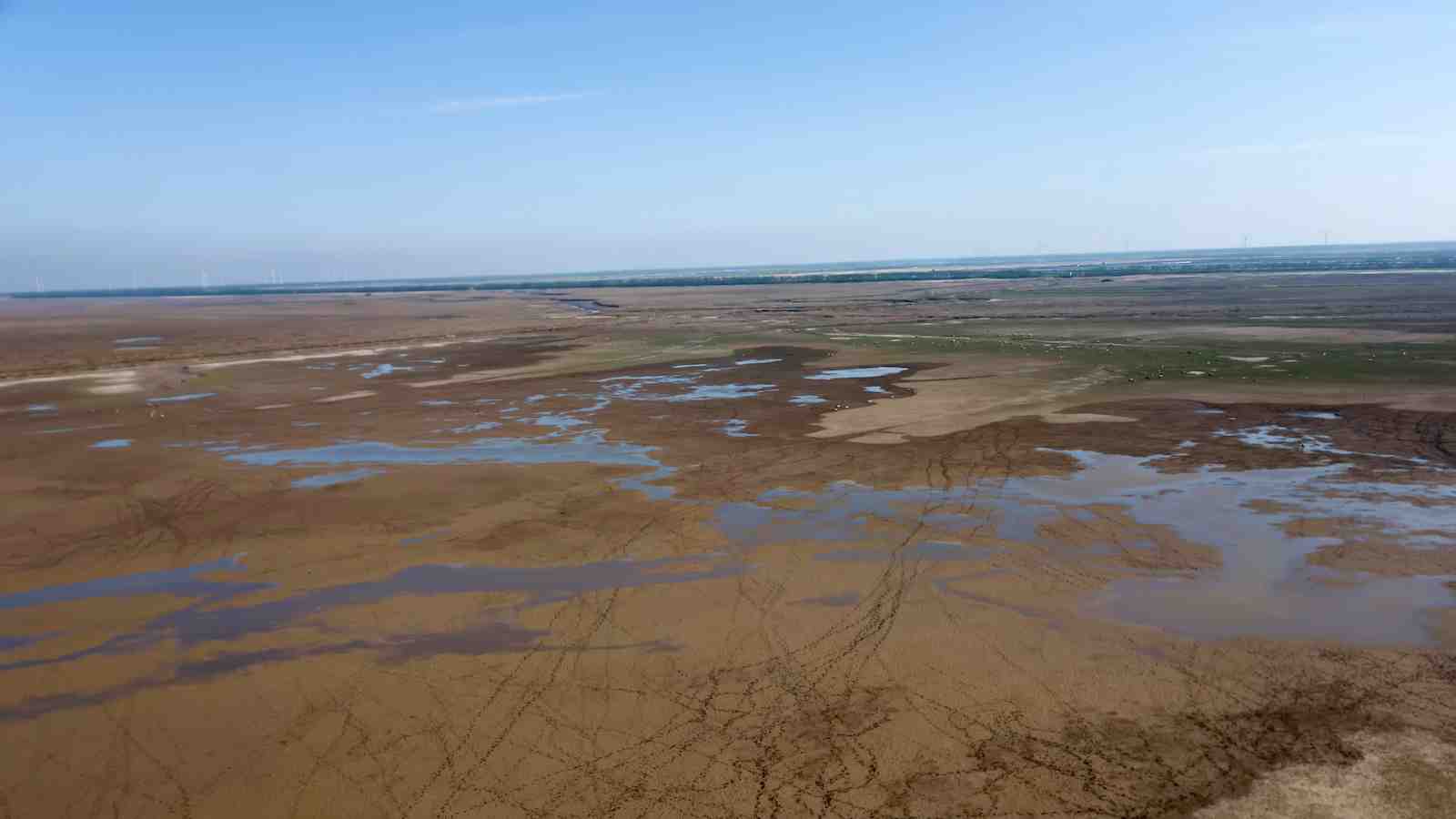 Tiaozini Wetlands: The symbiotic code of a migratory bird paradise