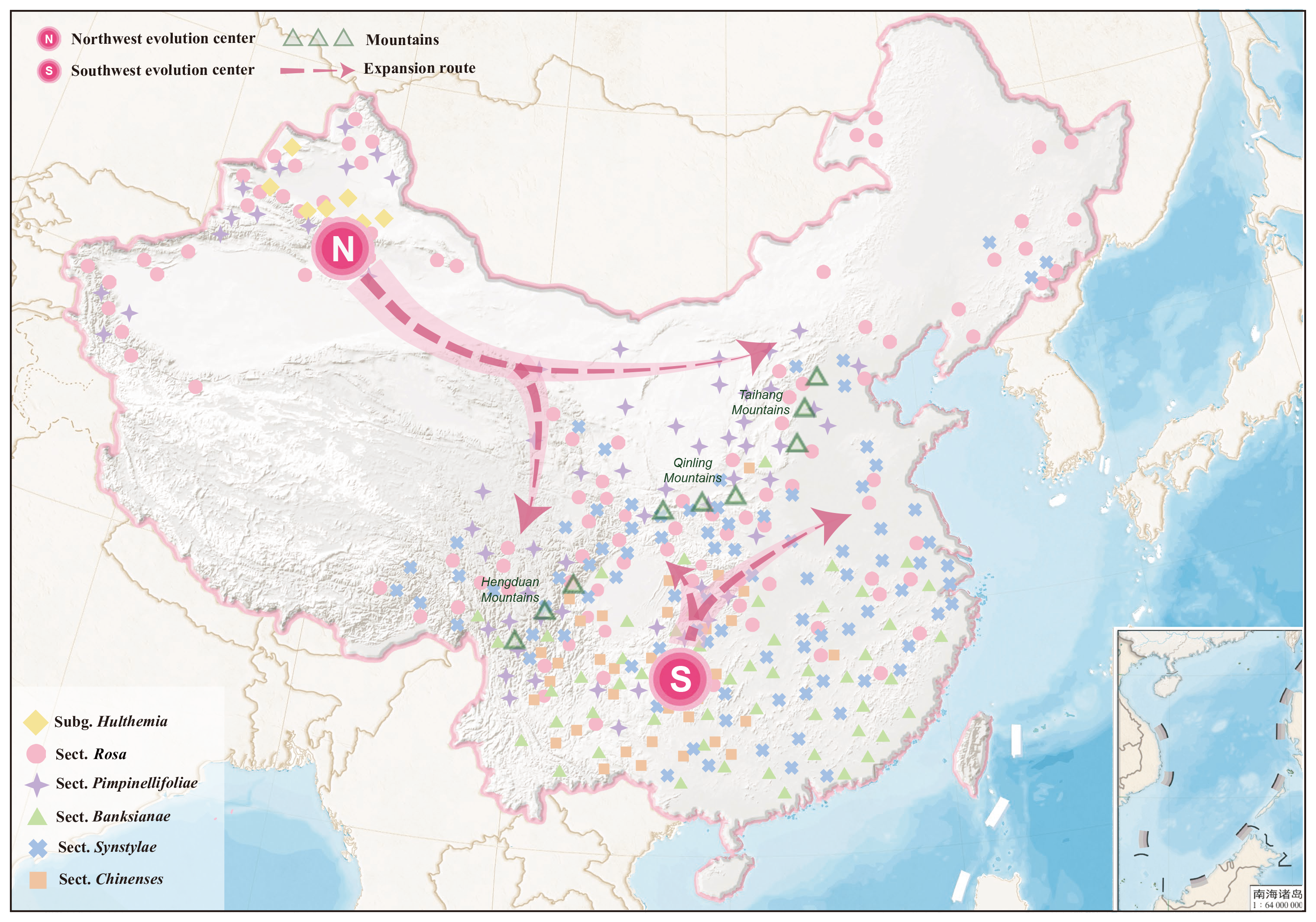 Postulated evolution center and expansion routes of Rosa in China.