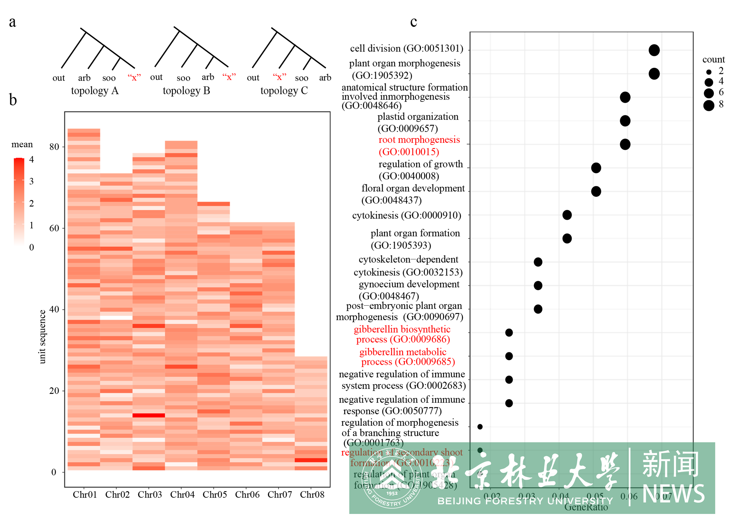图4 古杂交区域干旱适应基因的富集.png