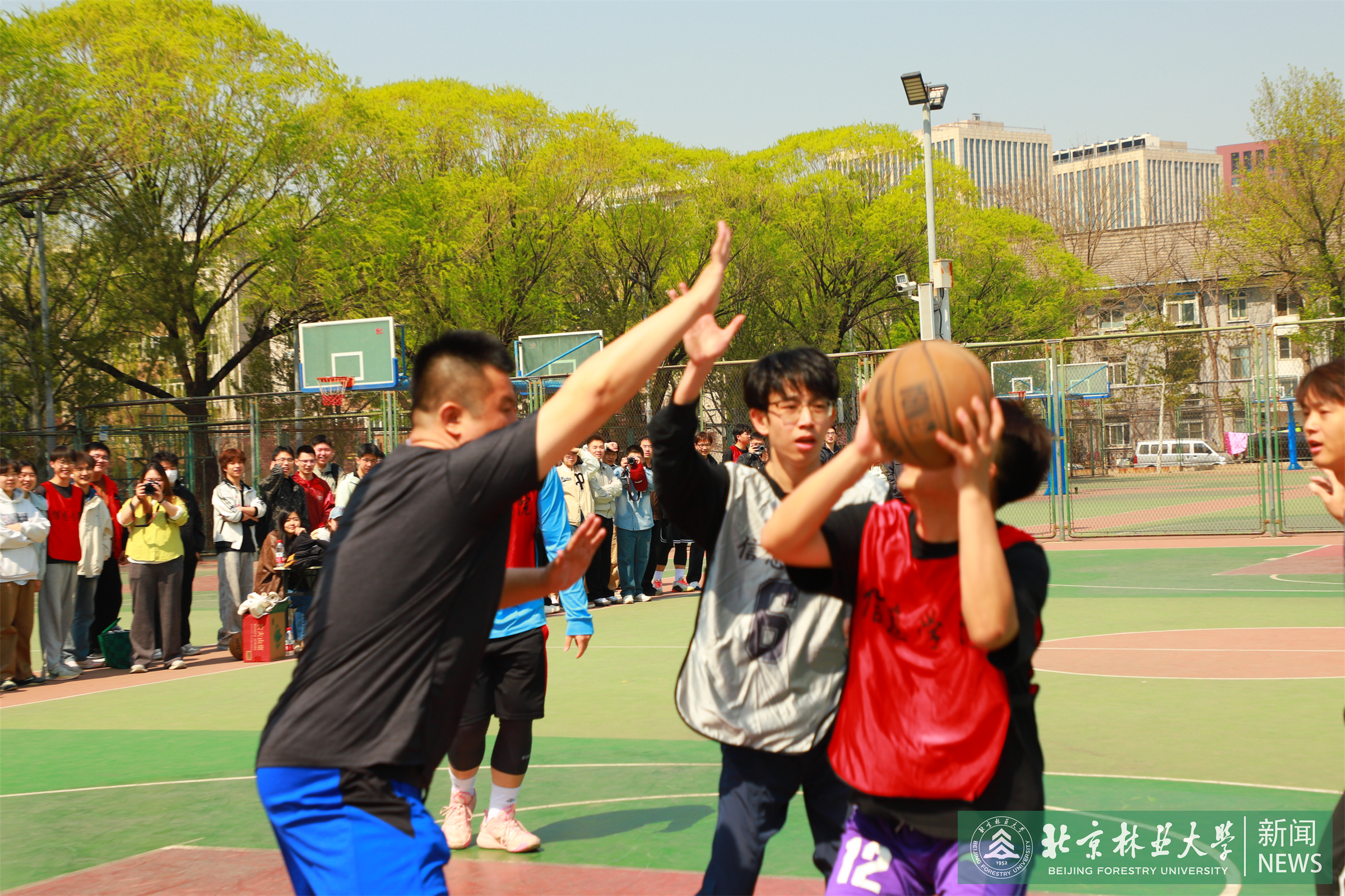 照片5.jpg
