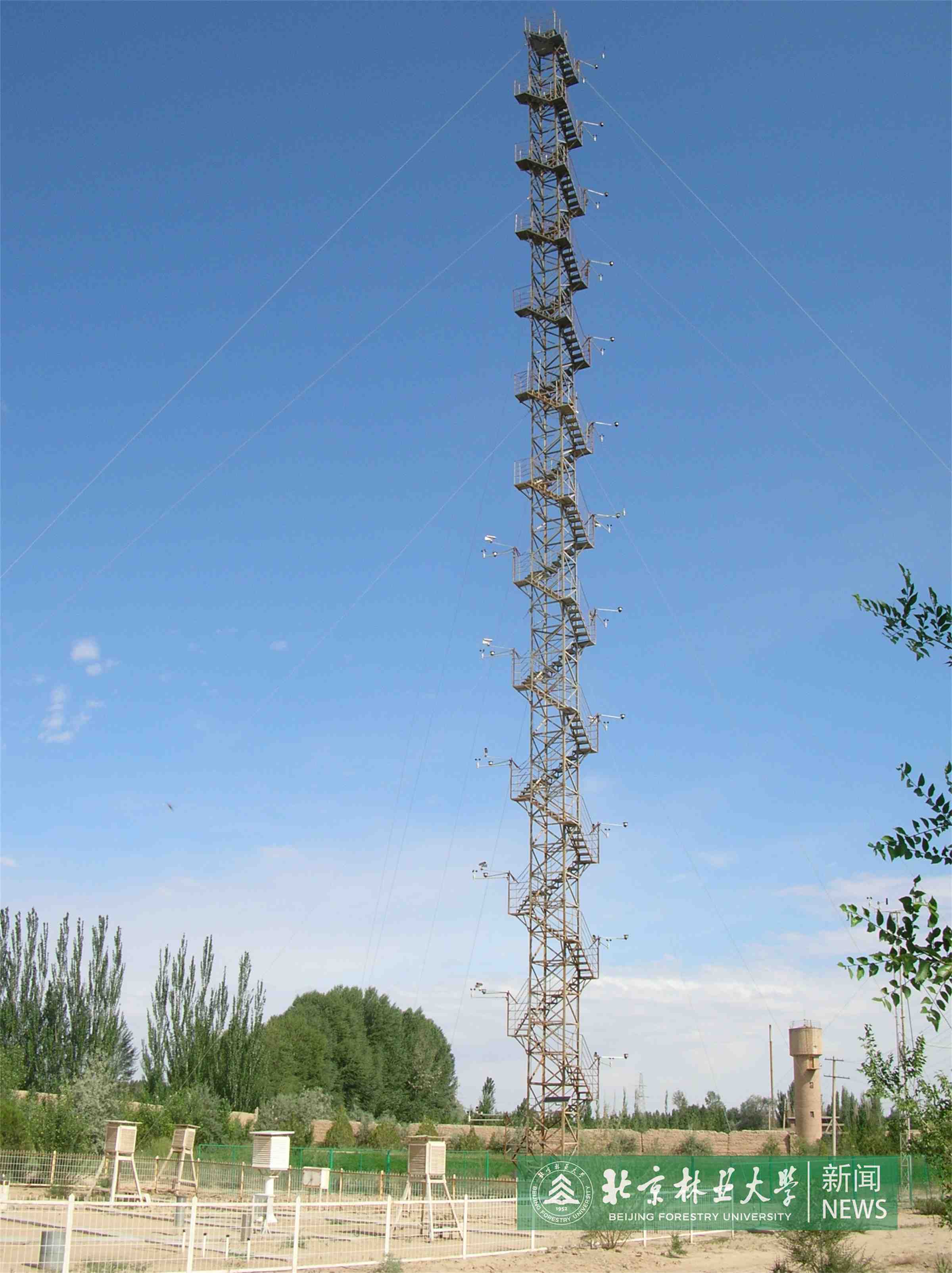 3f8e1e83a1e16e11dd89f15117fd61d0_d02fd1ae6a004b8894530c444fb03b6f.jpg
